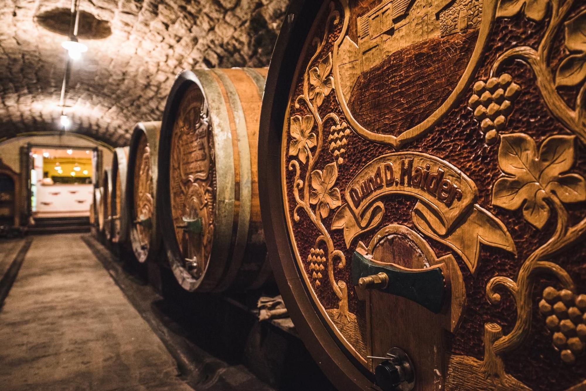 Weingut Gaestehaus D&D Haider 조이스 외부 사진