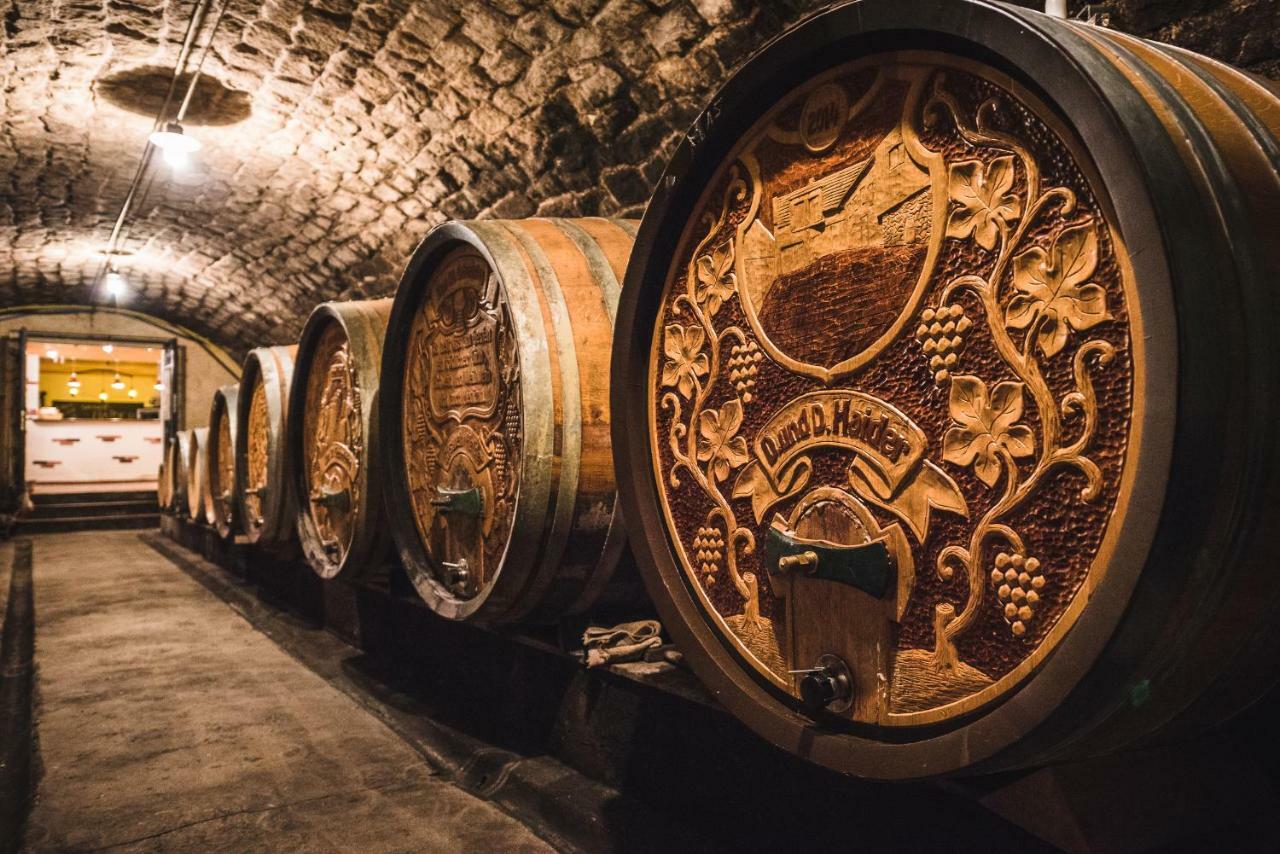 Weingut Gaestehaus D&D Haider 조이스 외부 사진