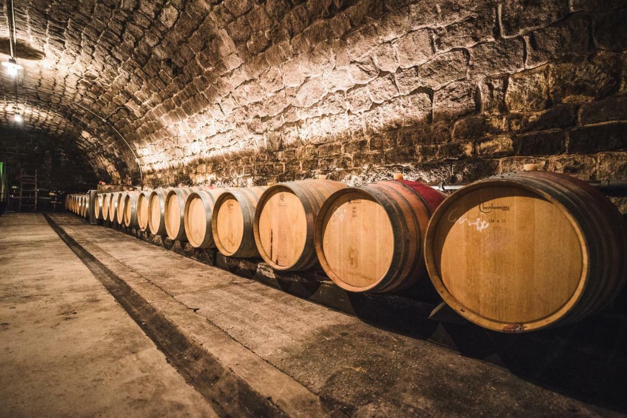 Weingut Gaestehaus D&D Haider 조이스 외부 사진